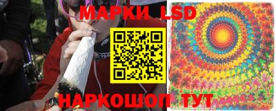 apvp Моздок