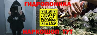 apvp Моздок