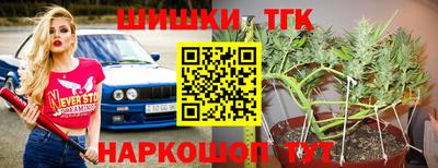 apvp Моздок
