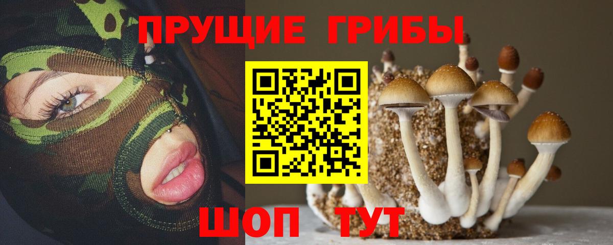 где купить наркоту  Вход с VPN  Галлюциногенные грибы GOLDEN TEACHER  Сибай  Псилоцибиновые грибы мицелий 